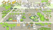 Stadt Zürich will mehr Platz für Gemüsebeete schaffen - Tages-Anzeiger Online
