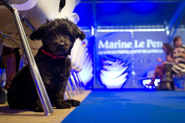 Ce chien va-t-il voter pour Marine Le Pen?