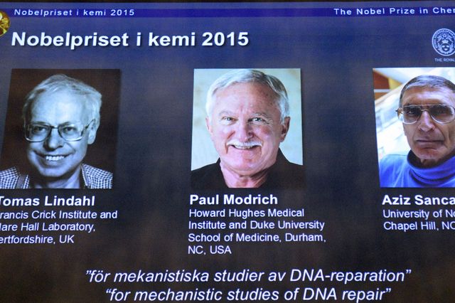 Der Chemie-Nobelpreis geht an Trio, das zur DNA-Reparatur geforscht hat: Tomas Lindahl, Paul Modrich, Aziz Sancar.