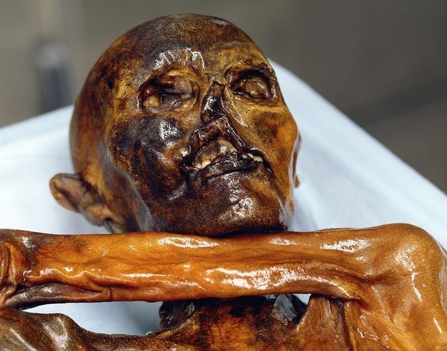 Ötzi avait les yeux marrons et les cheveux bruns.