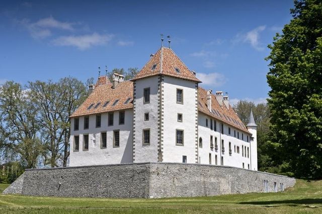chateau a vendre suisse romande