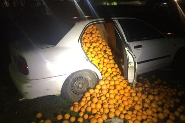 L'un des véhicules stoppé par la police était rempli d'oranges jusqu'au plafond.